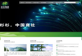 龍泉電腦綜合服務 網站開發、維修與數據安全保障