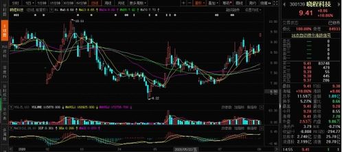 玉米高位運行 飼料行情起飛，計算機軟件板塊投資機遇顯現