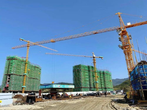 總投資4.3億元！壇廠棚改項目進展順利，項目擔保機制保障居民權益